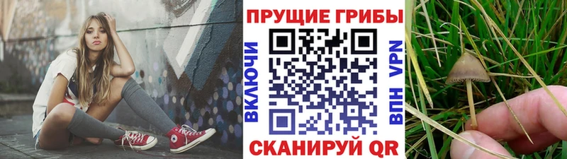 хочу наркоту  Нариманов  Галлюциногенные грибы Magic Shrooms 