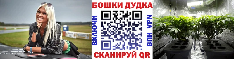 Конопля OG Kush  как найти закладки  Нариманов 